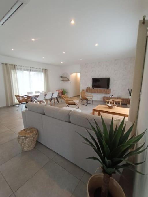 Villa Des Rives Du Tarn Avec Jacuzzi Montans 外观 照片